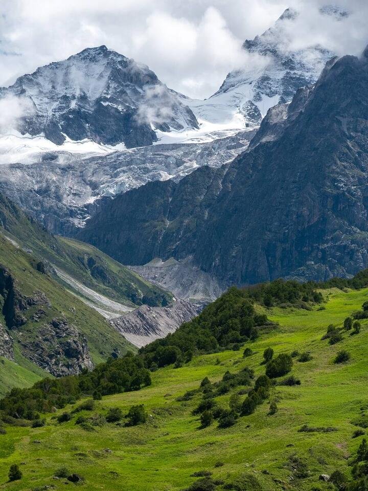 Valley of Flowers web story